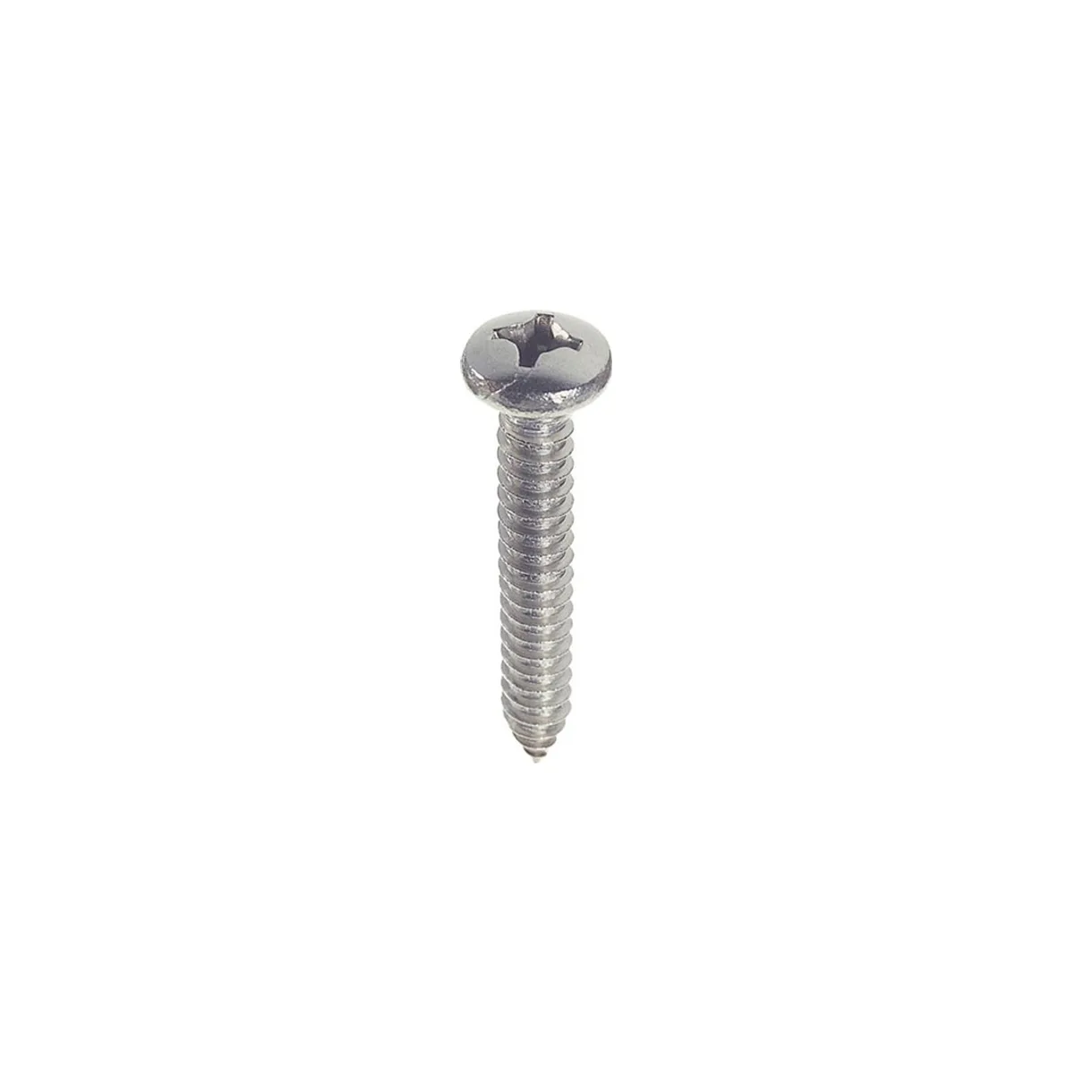 Pan Head Self Tap Screw SS304