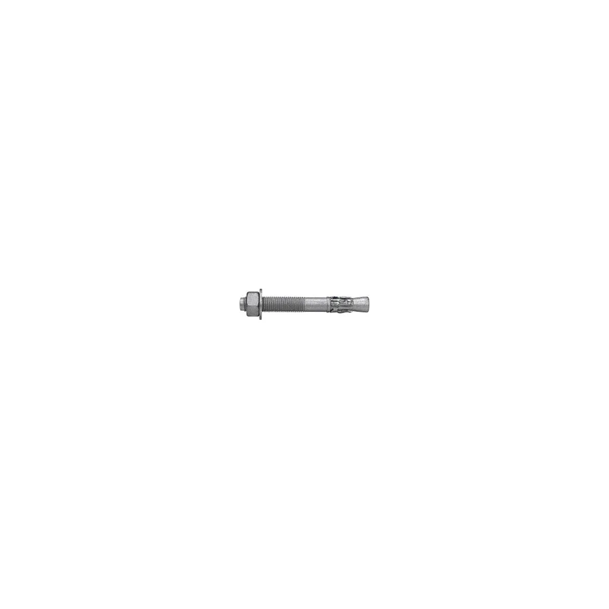 Wedge Anchor Gal - image 2